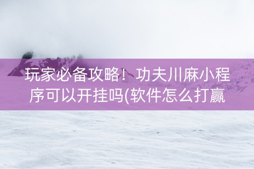 玩家必备攻略！功夫川麻小程序可以开挂吗(软件怎么打赢)