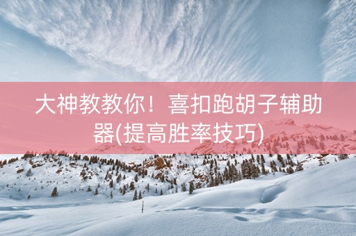 大神教教你！喜扣跑胡子辅助器(提高胜率技巧)