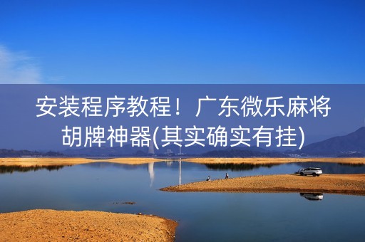 安装程序教程！广东微乐麻将胡牌神器(其实确实有挂)