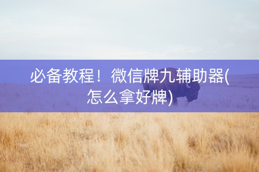 必备教程！微信牌九辅助器(怎么拿好牌)