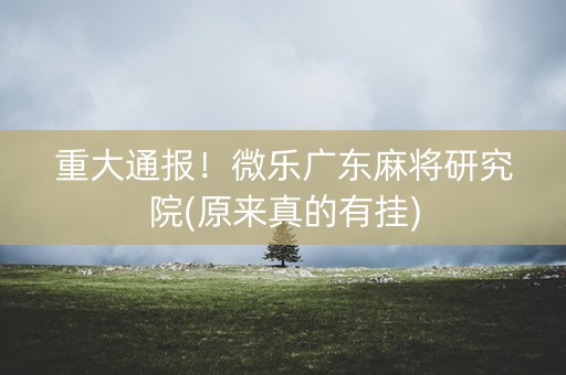 重大通报！微乐广东麻将研究院(原来真的有挂)