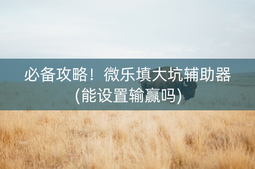 必备攻略！微乐填大坑辅助器(能设置输赢吗)