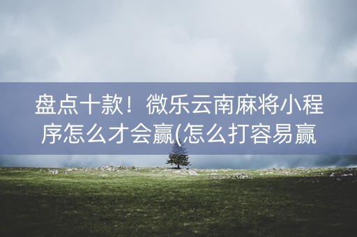 盘点十款！微乐云南麻将小程序怎么才会赢(怎么打容易赢)