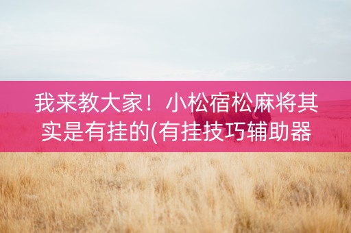 我来教大家！小松宿松麻将其实是有挂的(有挂技巧辅助器)