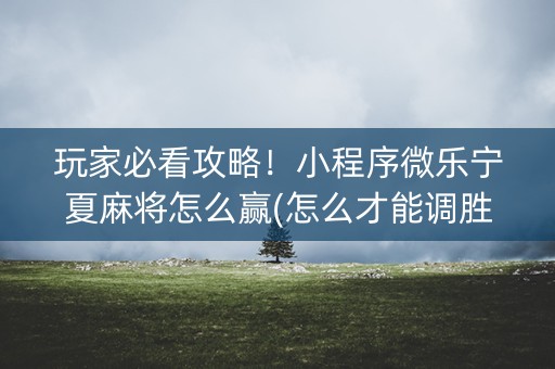 玩家必看攻略！小程序微乐宁夏麻将怎么赢(怎么才能调胜率)