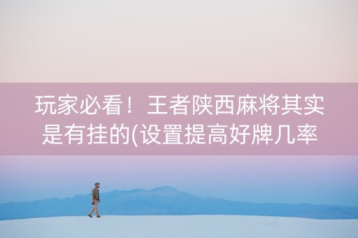 玩家必看！王者陕西麻将其实是有挂的(设置提高好牌几率)