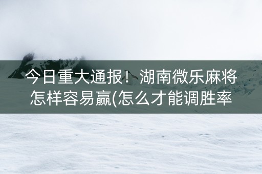 今日重大通报！湖南微乐麻将怎样容易赢(怎么才能调胜率)