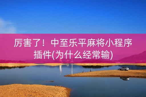 厉害了！中至乐平麻将小程序插件(为什么经常输)