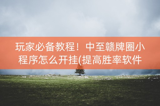 玩家必备教程！中至赣牌圈小程序怎么开挂(提高胜率软件)
