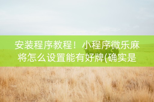 安装程序教程！小程序微乐麻将怎么设置能有好牌(确实是有挂)