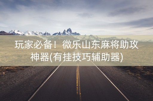 玩家必备！微乐山东麻将助攻神器(有挂技巧辅助器)