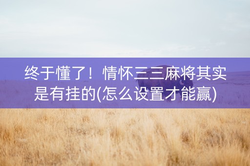 终于懂了！情怀三三麻将其实是有挂的(怎么设置才能赢)
