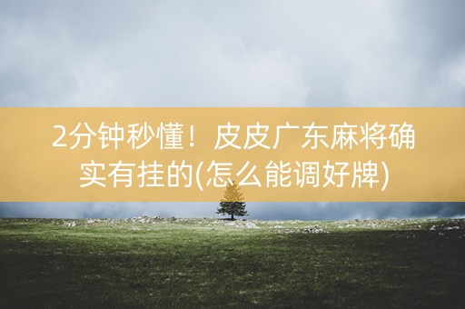 2分钟秒懂！皮皮广东麻将确实有挂的(怎么能调好牌)