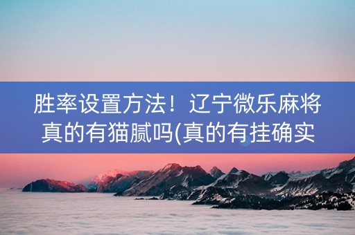 胜率设置方法！辽宁微乐麻将真的有猫腻吗(真的有挂确实有挂)