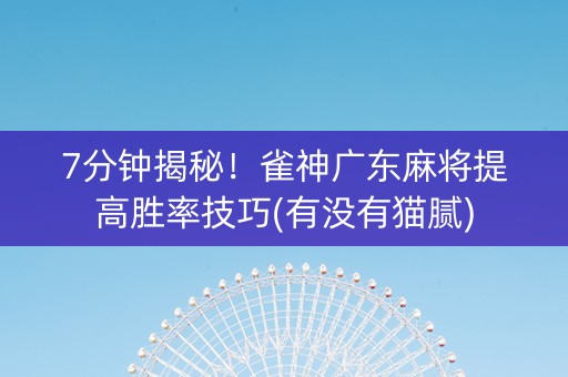 7分钟揭秘！雀神广东麻将提高胜率技巧(有没有猫腻)