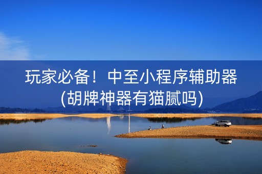玩家必备！中至小程序辅助器(胡牌神器有猫腻吗)