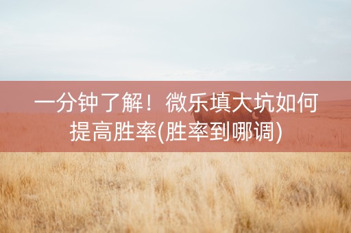 一分钟了解！微乐填大坑如何提高胜率(胜率到哪调)