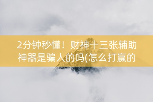 2分钟秒懂！财神十三张辅助神器是骗人的吗(怎么打赢的几率大)