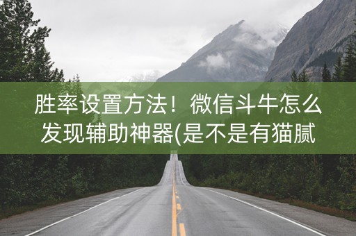 胜率设置方法！微信斗牛怎么发现辅助神器(是不是有猫腻)