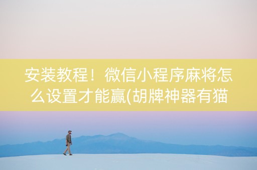 安装教程！微信小程序麻将怎么设置才能赢(胡牌神器有猫腻吗)