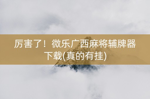 厉害了！微乐广西麻将辅牌器下载(真的有挂)