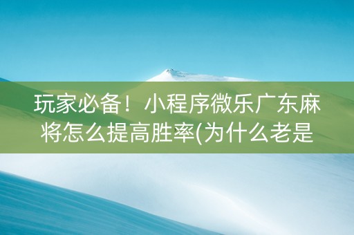 玩家必备！小程序微乐广东麻将怎么提高胜率(为什么老是输)