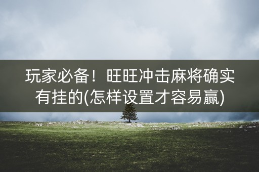 玩家必备！旺旺冲击麻将确实有挂的(怎样设置才容易赢)