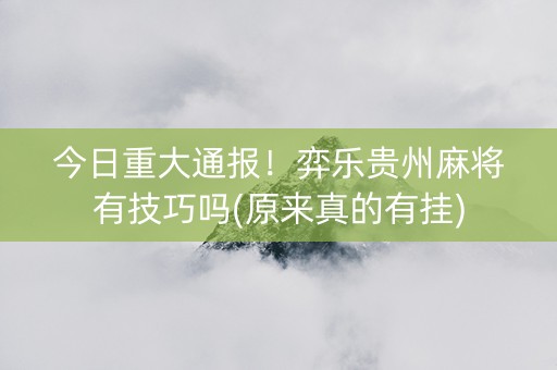 今日重大通报！弈乐贵州麻将有技巧吗(原来真的有挂)