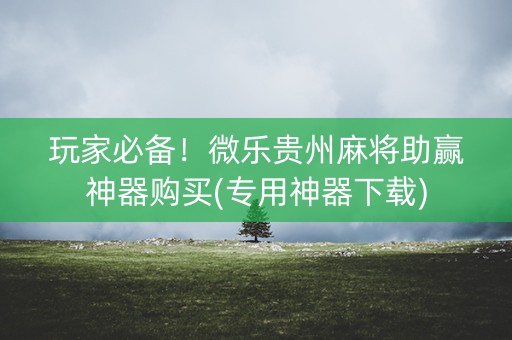 玩家必备！微乐贵州麻将助赢神器购买(专用神器下载)