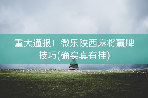 重大通报！微乐陕西麻将赢牌技巧(确实真有挂)