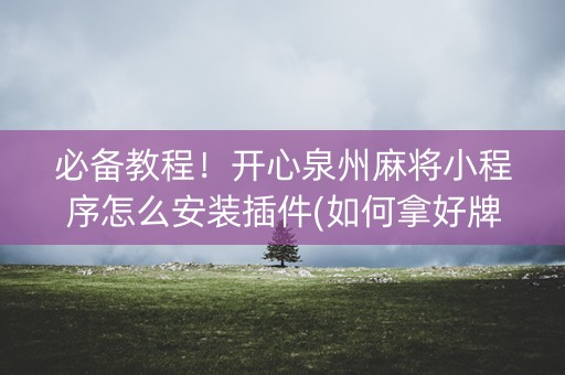 必备教程！开心泉州麻将小程序怎么安装插件(如何拿好牌)