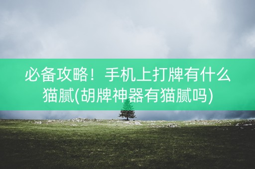 必备攻略！手机上打牌有什么猫腻(胡牌神器有猫腻吗)