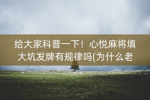 给大家科普一下！心悦麻将填大坑发牌有规律吗(为什么老是输呢)