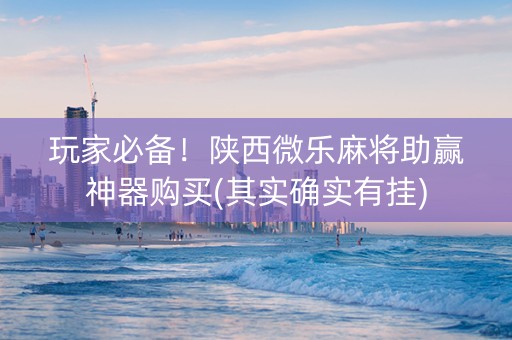 玩家必备！陕西微乐麻将助赢神器购买(其实确实有挂)