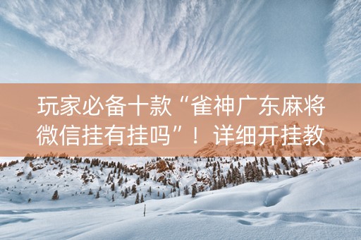 玩家必备十款“雀神广东麻将微信挂有挂吗”！详细开挂教程（确实真的有挂)-抖音