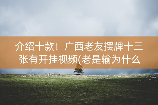 介绍十款！广西老友摆牌十三张有开挂视频(老是输为什么)