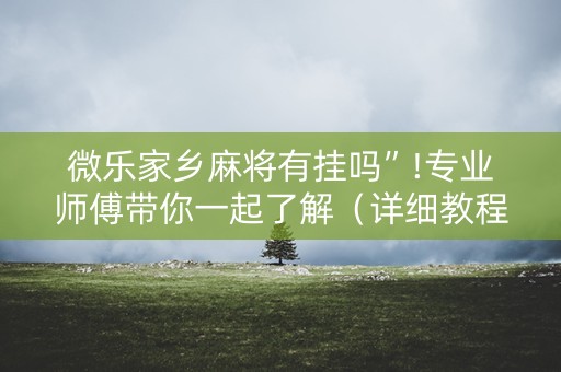 微乐家乡麻将有挂吗”!专业师傅带你一起了解（详细教程）-抖音