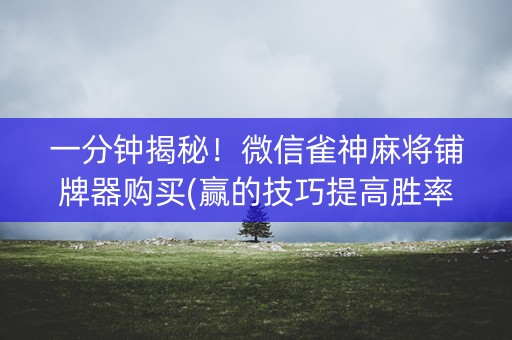 一分钟揭秘！微信雀神麻将铺牌器购买(赢的技巧提高胜率)