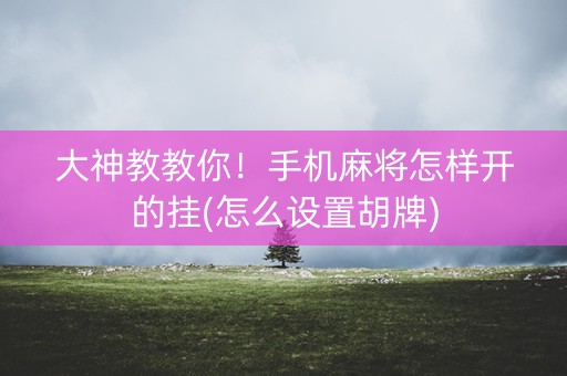 大神教教你！手机麻将怎样开的挂(怎么设置胡牌)