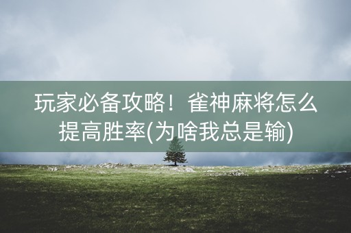 玩家必备攻略！雀神麻将怎么提高胜率(为啥我总是输)