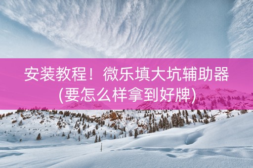 安装教程！微乐填大坑辅助器(要怎么样拿到好牌)