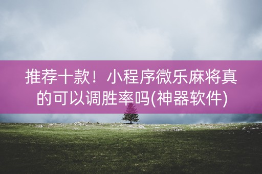 推荐十款！小程序微乐麻将真的可以调胜率吗(神器软件)