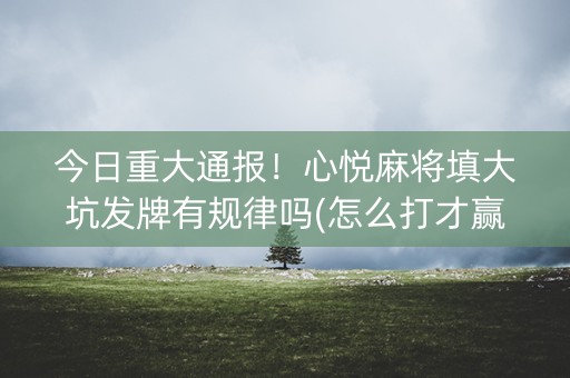 今日重大通报！心悦麻将填大坑发牌有规律吗(怎么打才赢)