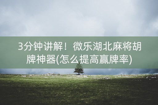3分钟讲解！微乐湖北麻将胡牌神器(怎么提高赢牌率)