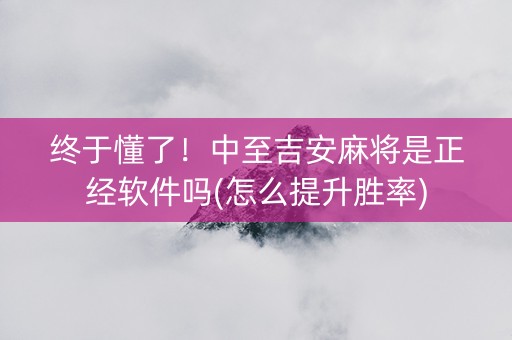 终于懂了！中至吉安麻将是正经软件吗(怎么提升胜率)