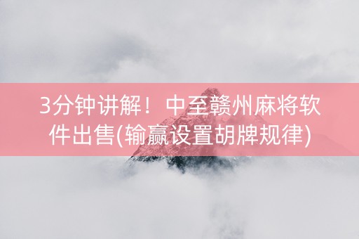 3分钟讲解！中至赣州麻将软件出售(输赢设置胡牌规律)
