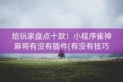 给玩家盘点十款！小程序雀神麻将有没有插件(有没有技巧)