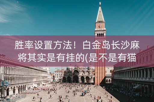 胜率设置方法！白金岛长沙麻将其实是有挂的(是不是有猫腻)