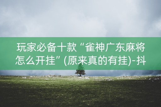 玩家必备十款“雀神广东麻将怎么开挂”(原来真的有挂)-抖音