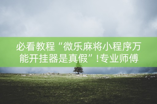 必看教程“微乐麻将小程序万能开挂器是真假”!专业师傅带你一起了解（详细教程）-抖音